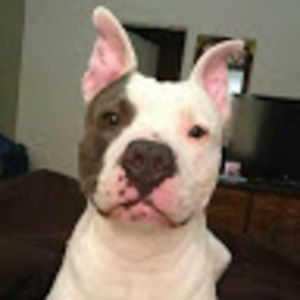 Meet your Posher, Clenette